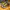 Nike Streetwear Sportswear Sneakers Pria Navy Yellow