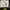 Nike Streetwear Sportswear Sneakers Pria navy yellow photo 8