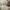 Adidas Streetwear Sportswear Sneakers Pria gray cream photo 8