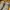 Adidas Streetwear Sportswear Sneakers Pria gray cream photo 4