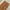 Carhartt Y2K Jeans Pria brown photo 6
