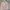 Renoma Minimalist Harrington jacket Pria tan photo 1