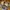 Nike Streetwear Sportswear Sneakers Pria tan navy photo 4