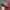 Montbell Vintage Sportswear Hat Pria red gray photo 5