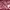 Batik Wanita burgundy photo 4