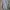 Calvin Klein Luxury Formal shirt Pria purple white photo 2