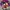 Vintage Cosplay Casual shirt Pria purple photo 2