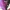 Vintage Cosplay Casual shirt Pria purple photo 6