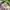 Vintage Harrington jacket Pria green photo 3