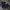 Dickies Casual Formal pants Pria blue photo 1