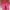 Le Specs Sportswear Pria pink photo 5