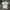 Tommy Hilfiger Streetwear Casual T-shirt Pria White