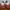 Adidas Casual Casual shoe Pria red photo 4