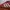 Adidas Casual Casual shoe Pria red photo 2