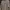 Burberry Luxury Indie Polo shirt Pria tan khaki photo 7