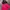 H&M Sportswear Short Wanita Pink