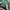 Nike Streetwear Sportswear Windbreaker Pria green black photo 2