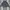 The North Face Y2K Casual Track jacket Pria black gray photo 1