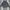 The North Face Y2K Casual Track Jacket Pria Black Gray