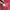 Fjällräven Y2K Gorpcore Track jacket Pria burgundy brown photo 5