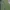 Y2K Skater Casual pants Pria green photo 2