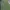Y2K Skater Casual Pants Pria Green