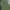 Y2K Skater Casual pants Pria green photo 4