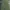 Y2K Skater Casual pants Pria green photo 1