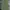 Y2K Skater Casual pants Pria green photo 3