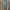 Polham Vintage Polo shirt Pria blue photo 1