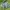 Vintage Harrington jacket Pria green photo 2