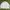 Vintage Harrington jacket Pria white photo 1