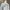Levi's Vintage Y2K Wanita blue photo 2