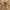 Forever 21 Streetwear Y2K Hoody Pria brown photo 4