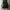 Luxury Minimalist Going out dress Wanita black photo 1