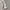 Wacko Maria Streetwear Casual Hoody Pria white photo 4