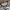 Japanese brand Y2K Fairy Crop top Wanita multicolor photo 2