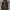 Stussy Streetwear T-shirt Pria green gray photo 1