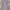 Y2K Bodycon dress Wanita purple black photo 2