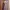 Y2K Bodycon Dress Wanita Purple Black