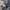 Japanese brand Streetwear Futurist Blazer Wanita multicolor photo 5