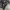 Japanese brand Streetwear Futurist Blazer Wanita multicolor photo 7