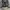 Japanese brand Streetwear Futurist Blazer Wanita multicolor photo 3