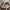 Uniqlo Streetwear Casual Sweatshirt Pria multicolor photo 7