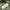 Snow Peak Streetwear Casual Sweatshirt Pria green photo 6