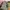 Snow Peak Streetwear Casual Sweatshirt Pria green photo 8