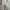 Snow Peak Streetwear Casual Sweatshirt Pria green photo 4