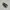 Asics Casual Sneakers Pria white black photo 3