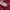 Adidas Casual Hoody Kids pink photo 3