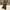 GU Streetwear Casual Casual pants Pria brown photo 1